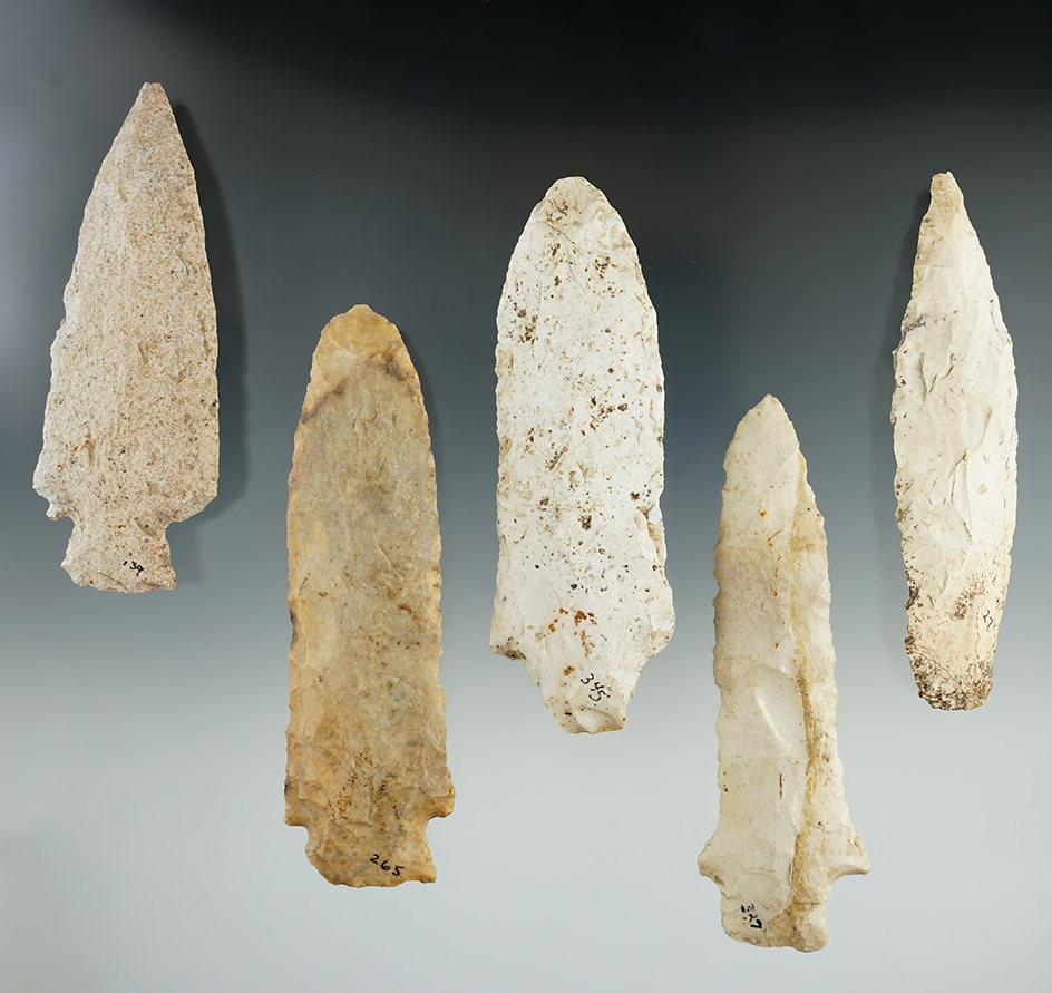 Group of five large Missouri Knives - all have some minor nicks, largest is 4 7/16".