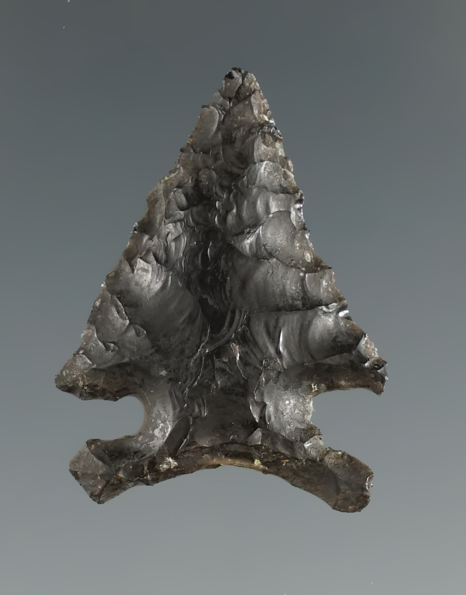 Pictured! 1 1/8" beautifully styled Piquin Sidenotch - obsidian - found near the Snake River, WA. co