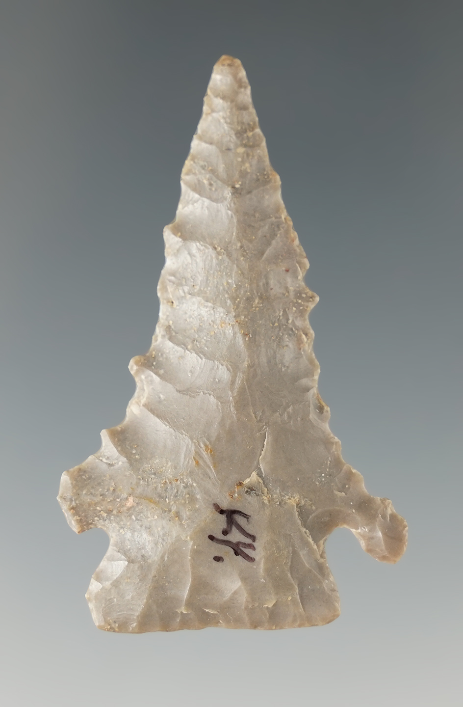 2" Pinetree made from hornstone found in Jefferson Co., Kentucky. Comes with a Tom Davis COA.