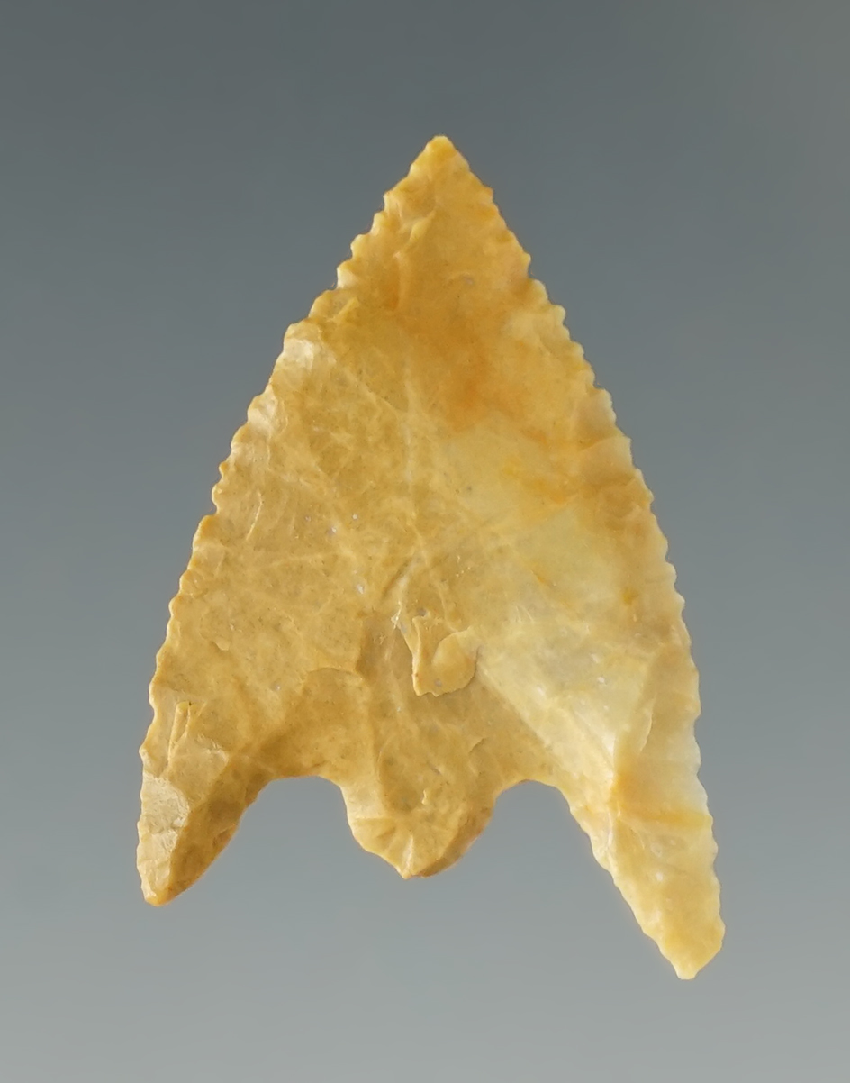 1 3/16" Gunther with nice micro-serrations along edges found in Oregon.