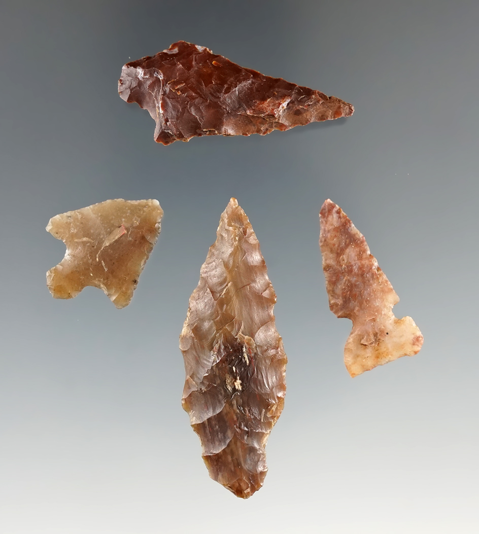 Set of four Columbia River arrowheads, largest is 1 7/8".