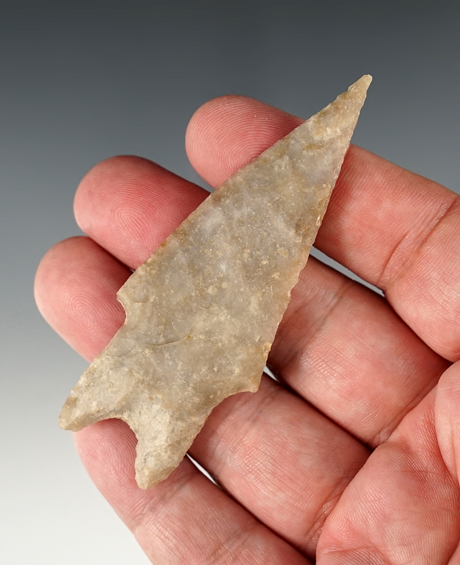 3 5/16" Pedernales found in Travis Co., Texas. Comes with a Bill Arnold COA.