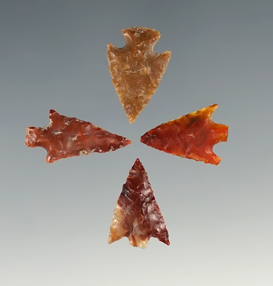 Set of 4 Assorted Arrowheads found near the Columbia River, largest is 3/4".