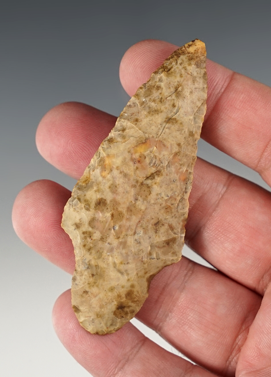 3 1/8" Adena found in Illinois.