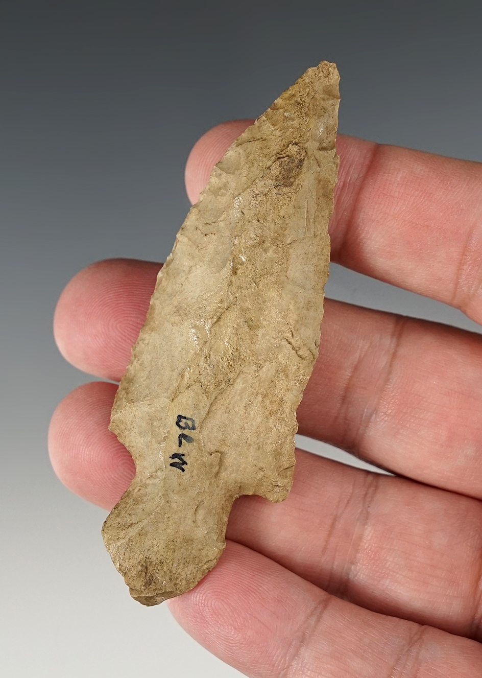 3 5/16" Turkey Tail knife found in Illinois.