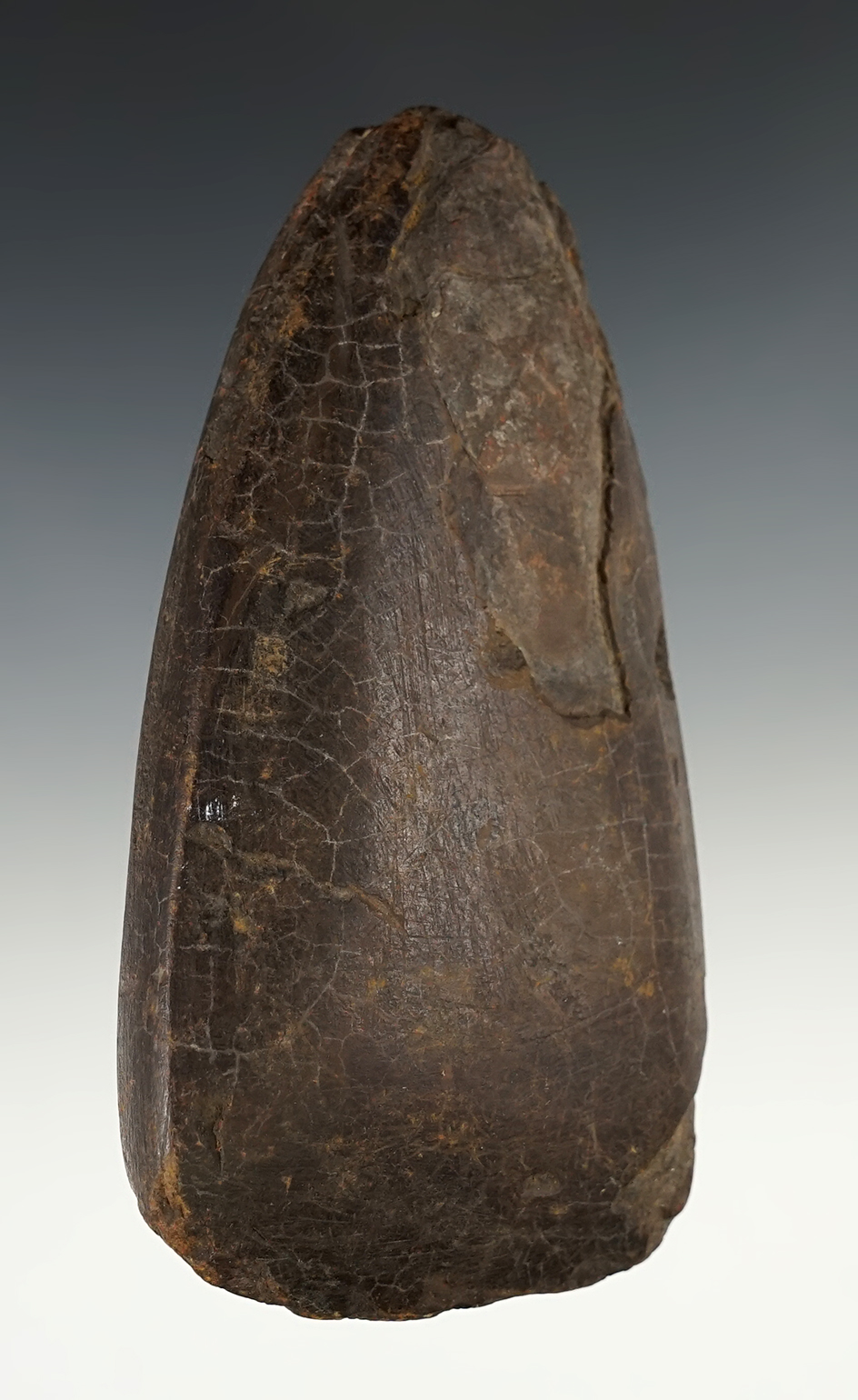 5 1/16" Limonite Celt found in the Midwest.