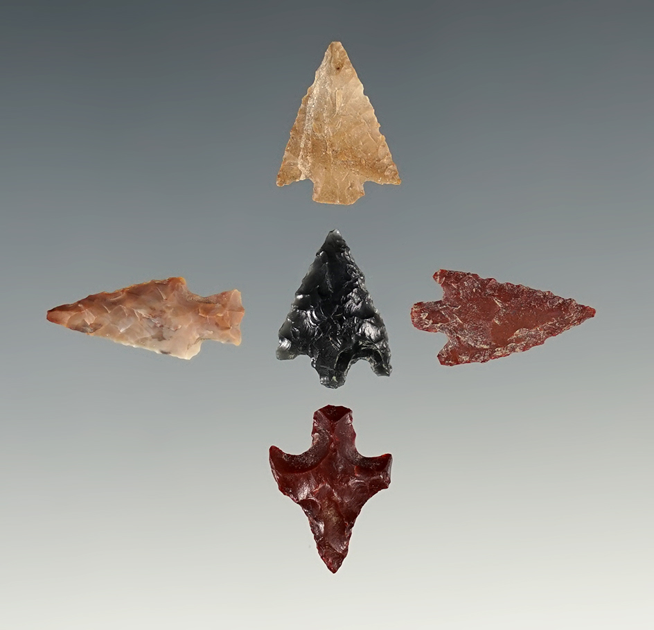 Set of 5 Assorted Arrowheads found near the Columbia River, largest is 13/16".