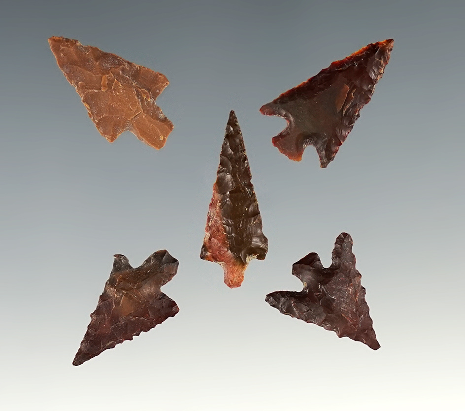 Set of 5 Nice assorted Arrowheads found near the Columbia River, largest is 15/16".
