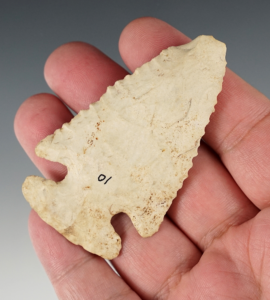 2 7/8" Archaic Thebes bevel with nicely serrated edges found in Illinois.