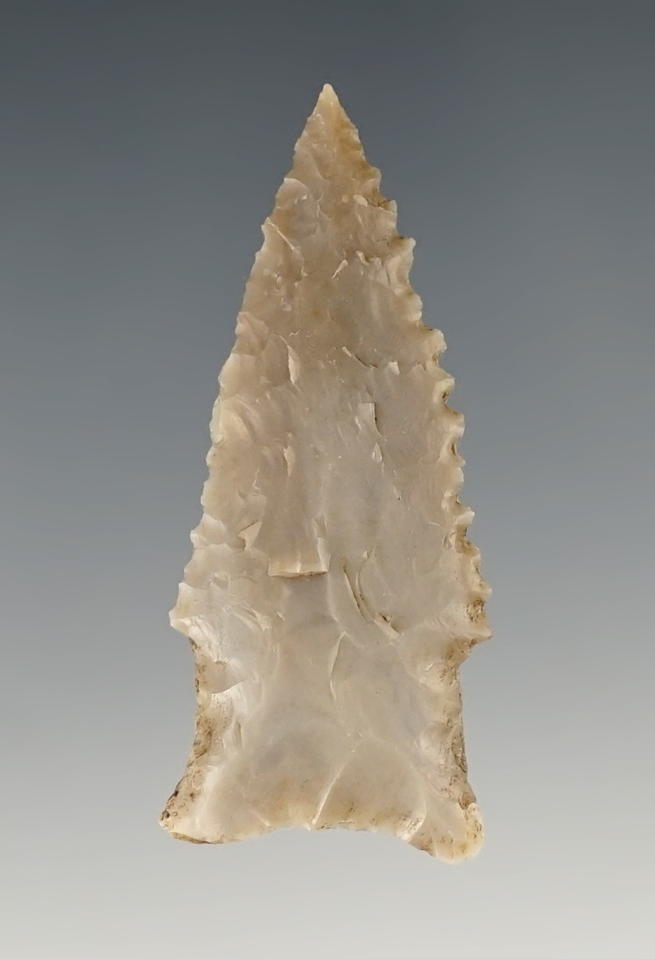 2" Darl point with a needle tip and nice edge serrations. Found in Texas.