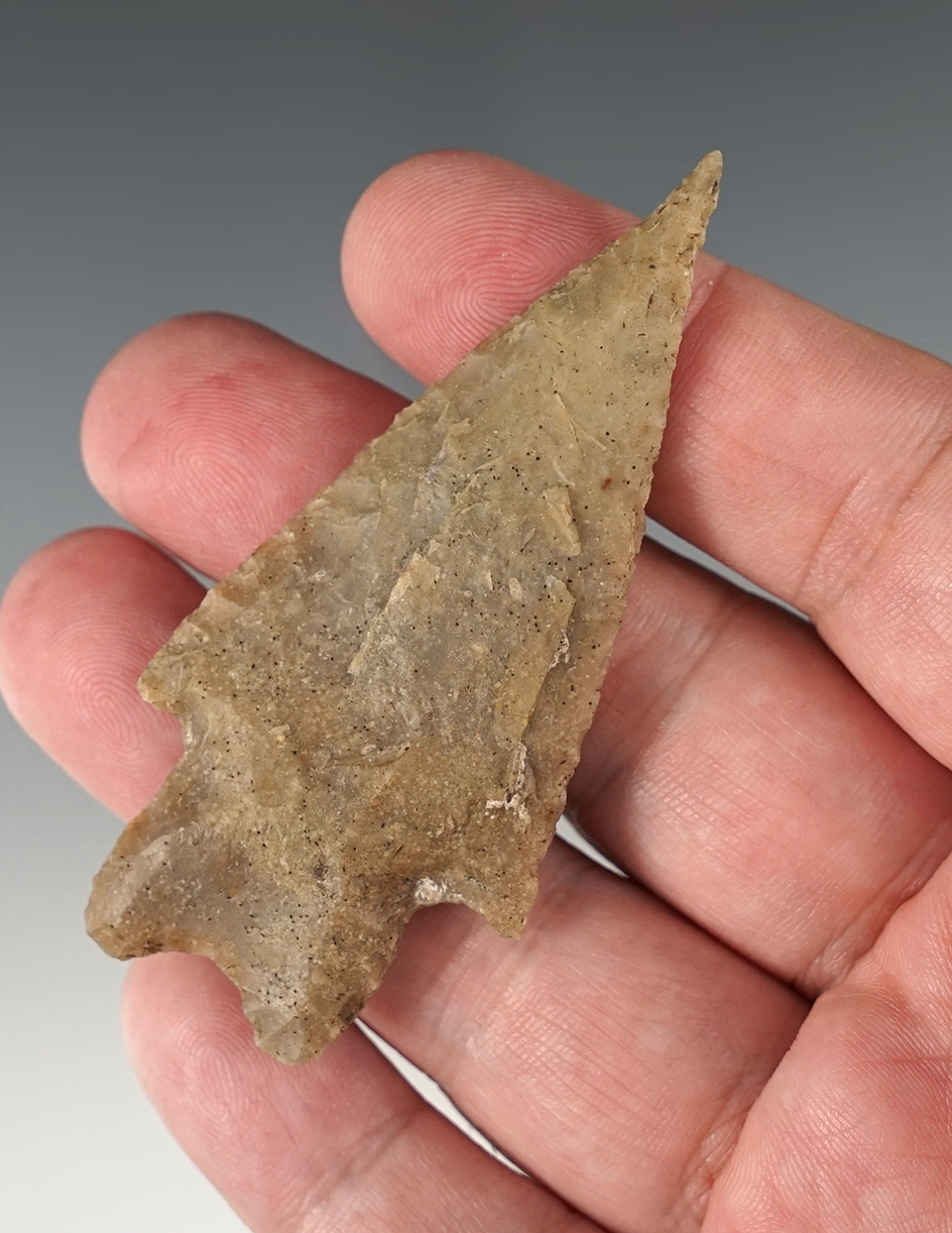 3" Pedernales found in Coryell Co., Texas. Comes with a Bill Arnold COA.