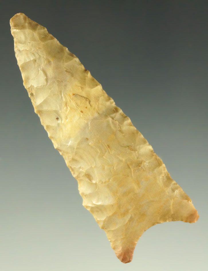 2 5/8" Dalton found in Perry County Missouri. Ex. Dr. Jim Mills.