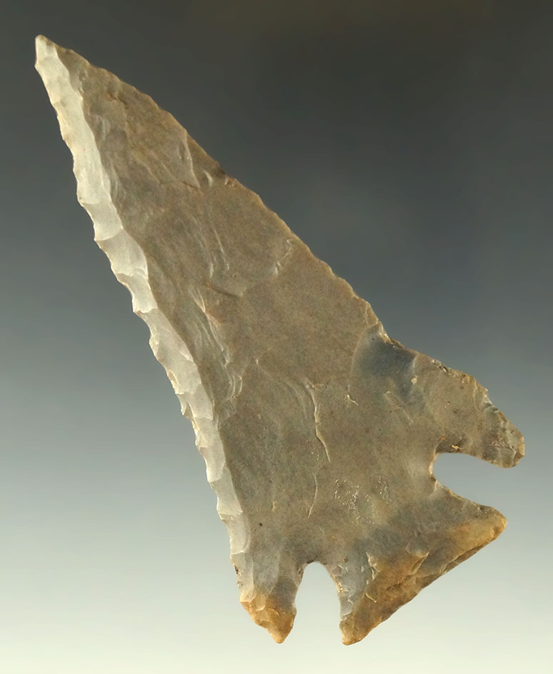 Pictured! 3 5/8" Hornstone Lost Lake - Kentucky - Charles Shewey. Jackson COA.  Ex. Museum!