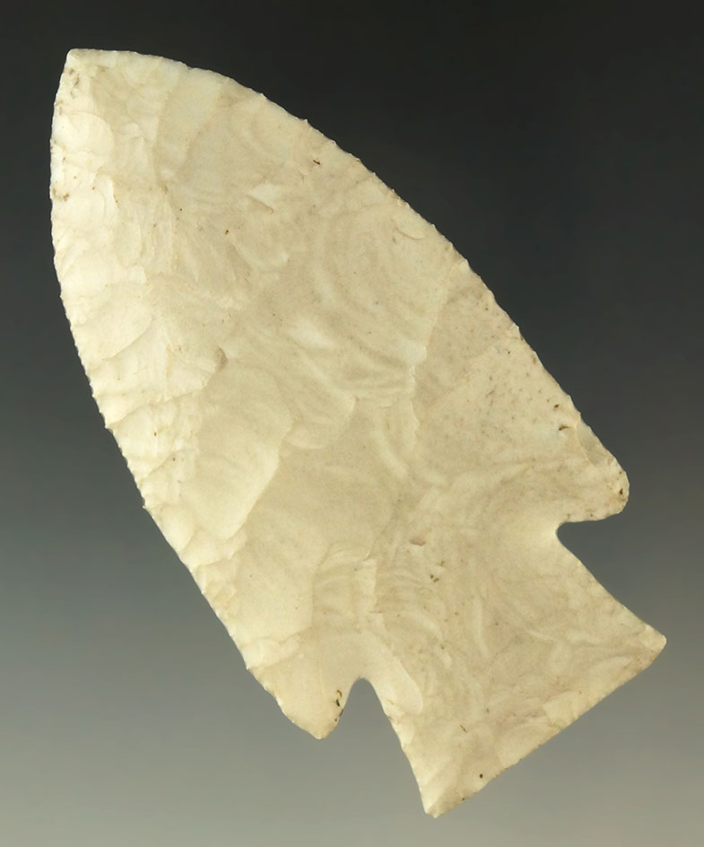 Ex. Perino - Pictured! 3 5/16" classic style Hardin - Missouri.  Ex. Museum!