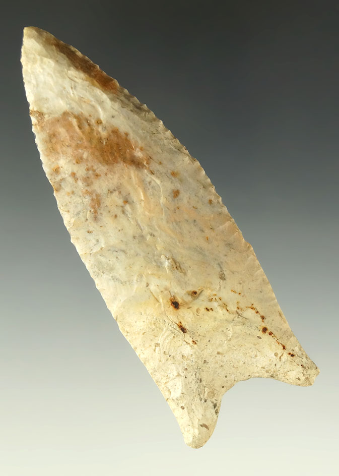 3 3/4" nicely patinated Dalton - Missouri/Illinois area. Ex. Shewey.  Jackson COA.  Ex. Museum!