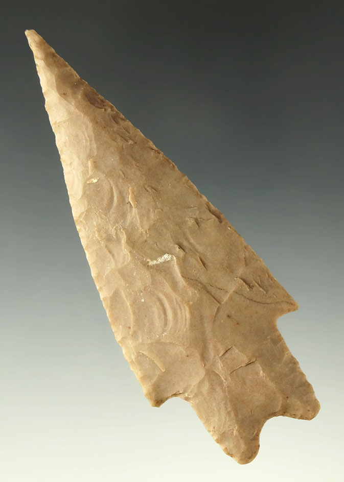 3 11/16" exceptional Pedernales - Texas.  Pictured in the Overstreet 15th. Deaccessioned Museum.