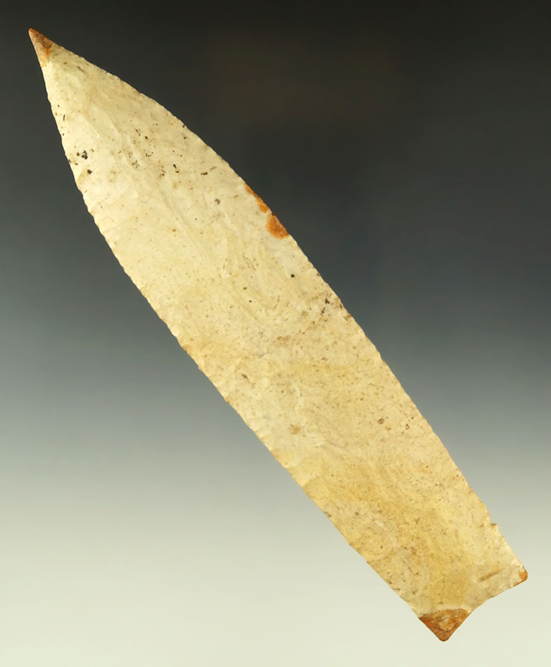 Ex. Museum! Large 6 3/4" Sedalia with minor restoration. Missouri.  Museum and Davis COA's.