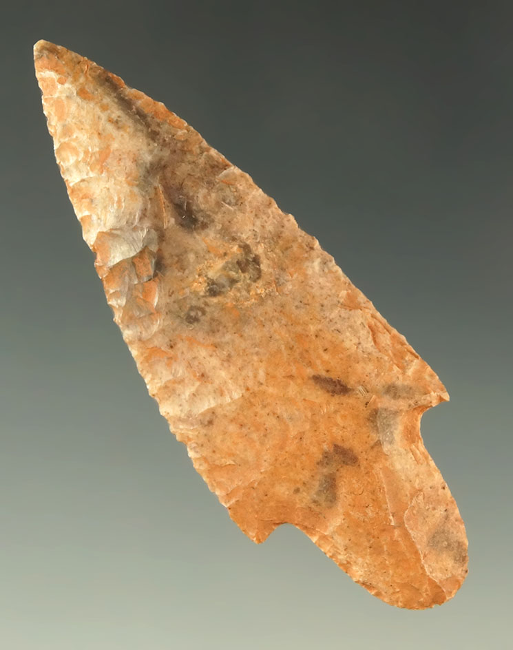 2 7/8" Waubessa - Missouri - Ex. Charles Shewey. Davis G-10 COA.  Deaccessioned by Museum.