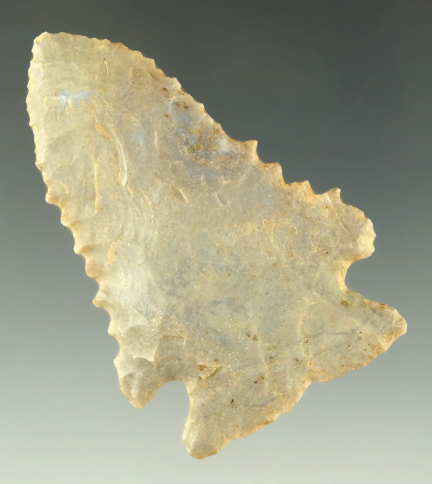 Pictured! 2 5/16" Pinetree - Kentucky  Museum COA.  Pictured in the Overstreet!  Ex. Museum!