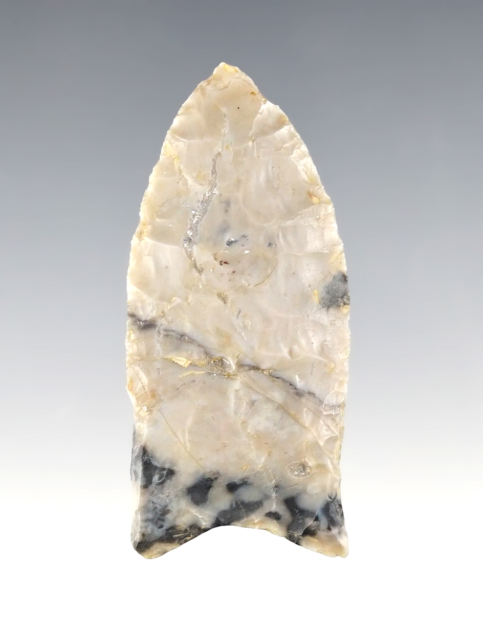 Fine 2 1/4" Fluted Paleo Clovis found at the Green Creek Site in Sandusky Co., Ohio. Pictured!