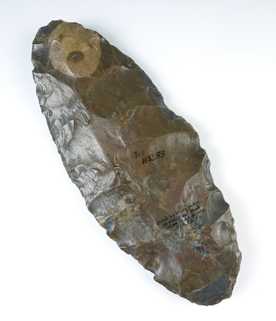 11 1/2" by 4 7/8" Nodular Flint Blade found by Dodge near the Ohio River, Ohio Co., Kentucky. 