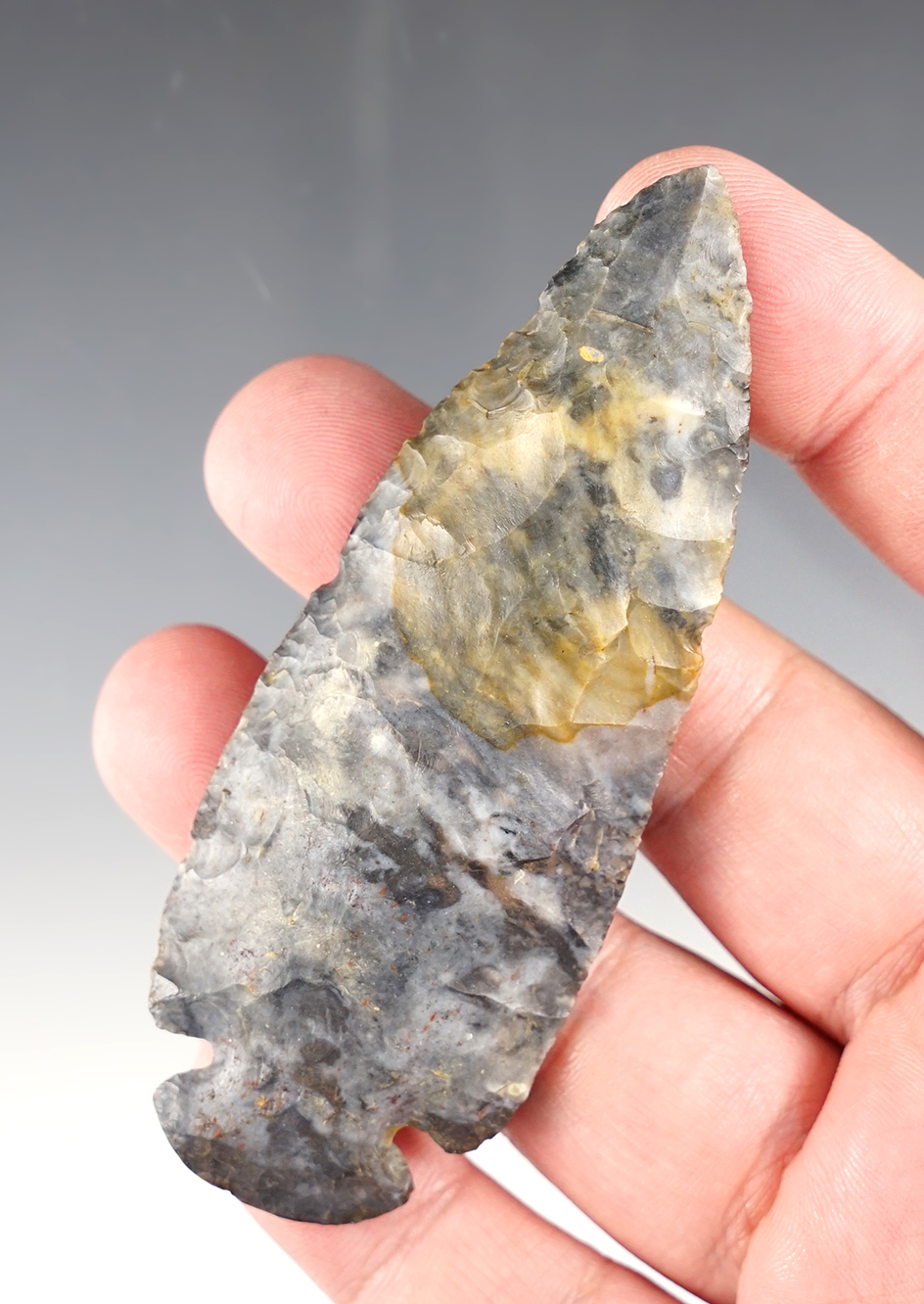 3 11/16" Coshocton Dovetail with nice color. Found in Fayette Co., Ohio. Bennett COA.