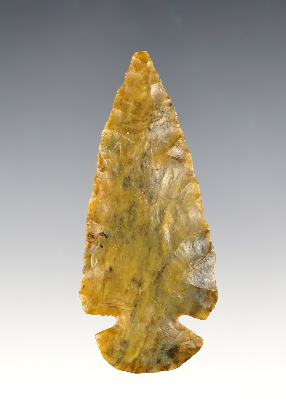 2 7/8" Dovetail found in Erie Co., Ohio by Tim Edwards. Made from rare Pipe Creek Chert. 