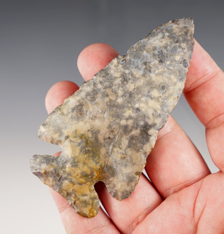 3 3/4" Thebes made from Upper Mercer Flint. Found in Knox Co., Ohio. COA's. 