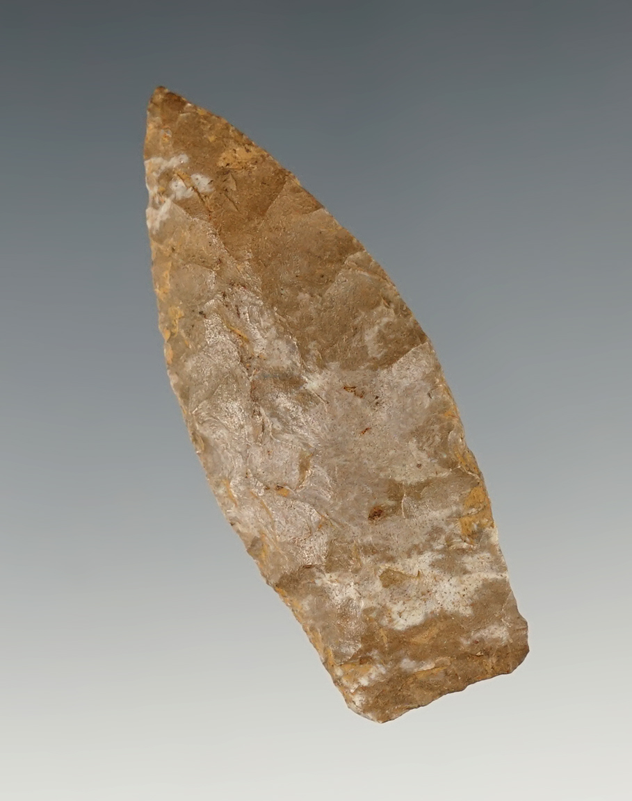 2 5/16" Ft. Payne Chert Lanceolate found in Kentucky.