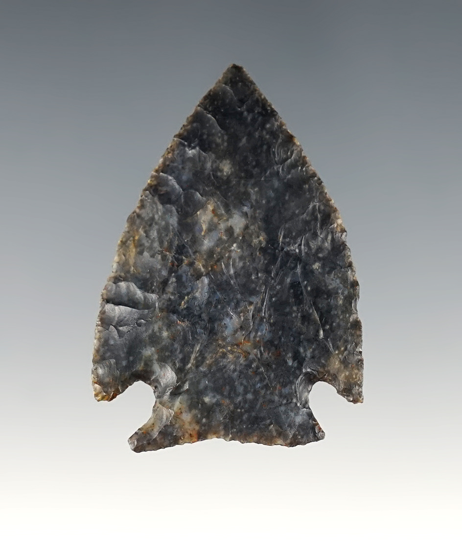 1 3/4" Paper thin Intrusive Mound Blade with a lightning streak through the center. Found in Ohio.