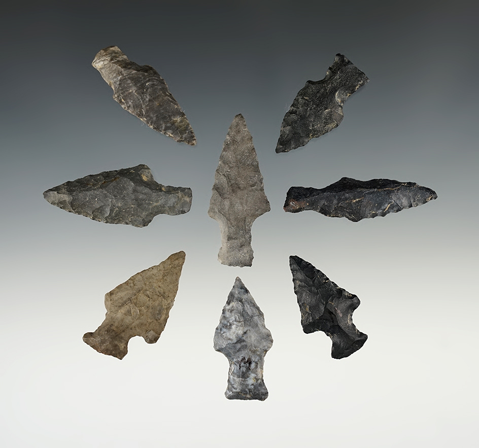 Group of 8 Archaic Expanded Stem Points made from assorted Coshocton materials - Ohio.