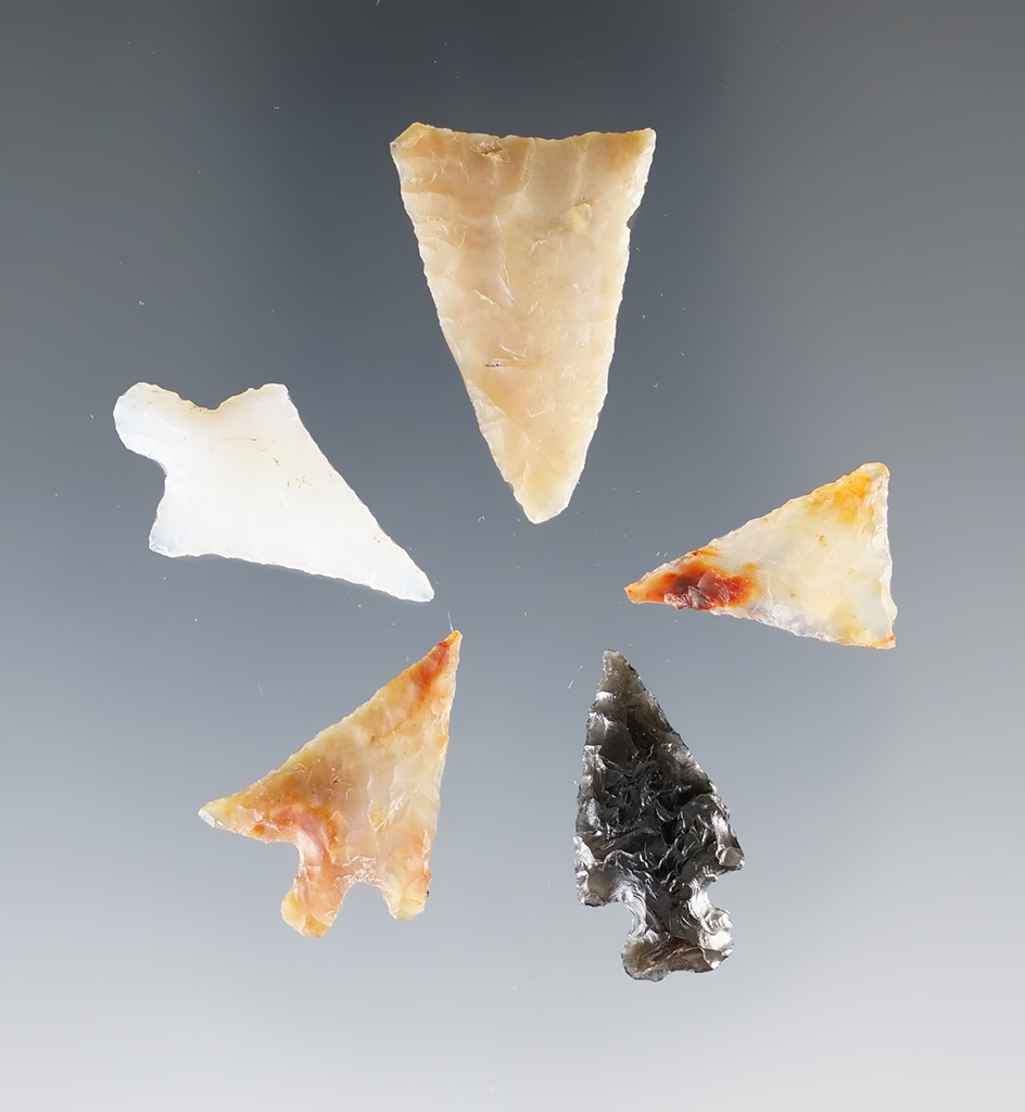 Set of 5 Assorted Columbia River Arrowheads, largest is 1".
