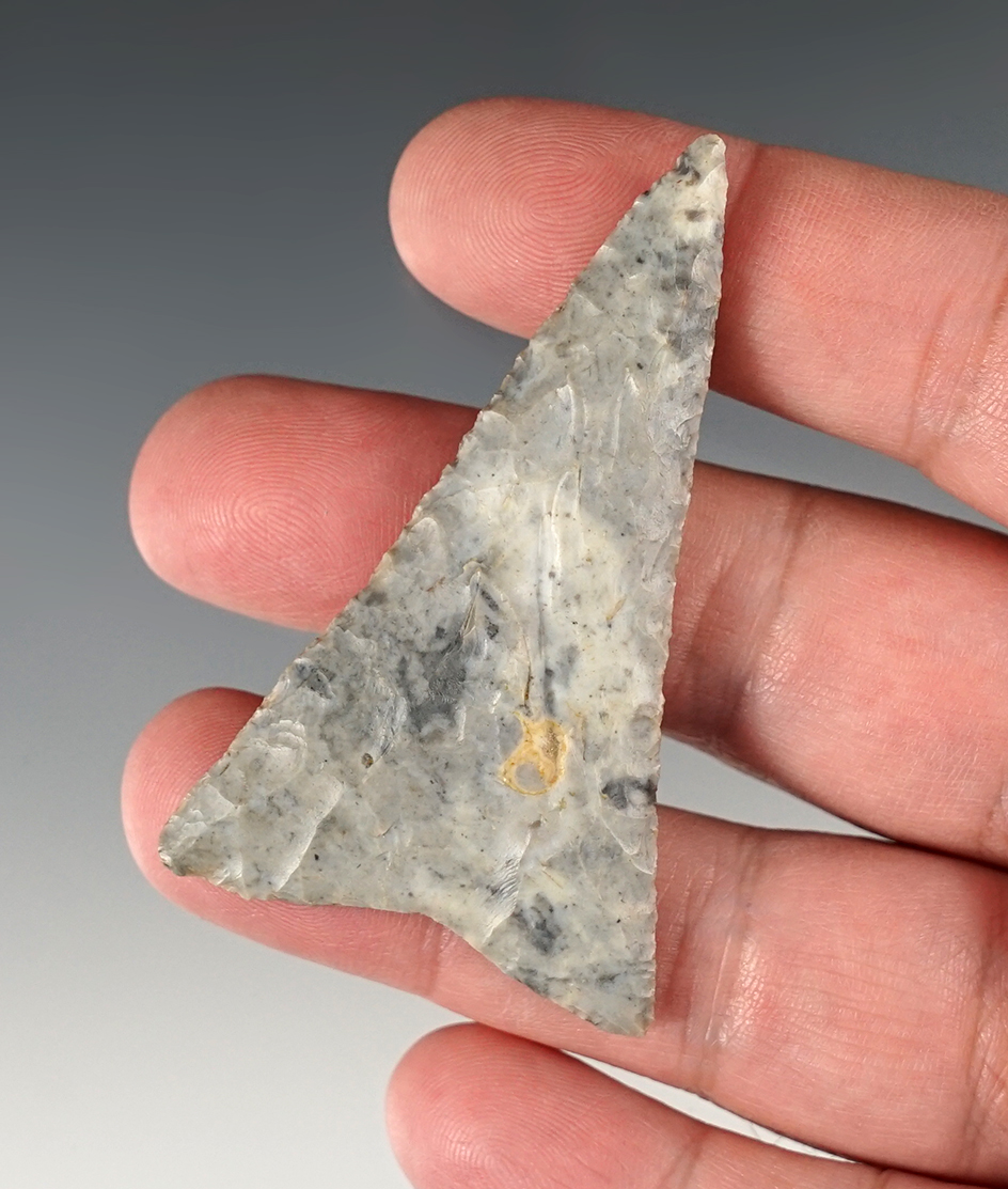 Superb 2 5/8" Triangle Point found in Richland Co., Ohio. A finely made, large example.