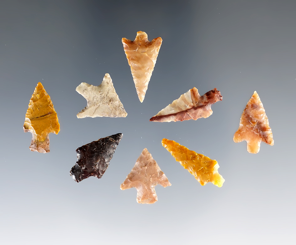 Set of 8 Assorted Columbia River Arrowheads, largest is 13/16".