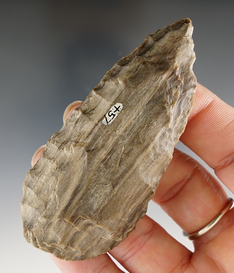 3" Cascade Knife made from Petrified Wood, found in Umatilla, Oregon.