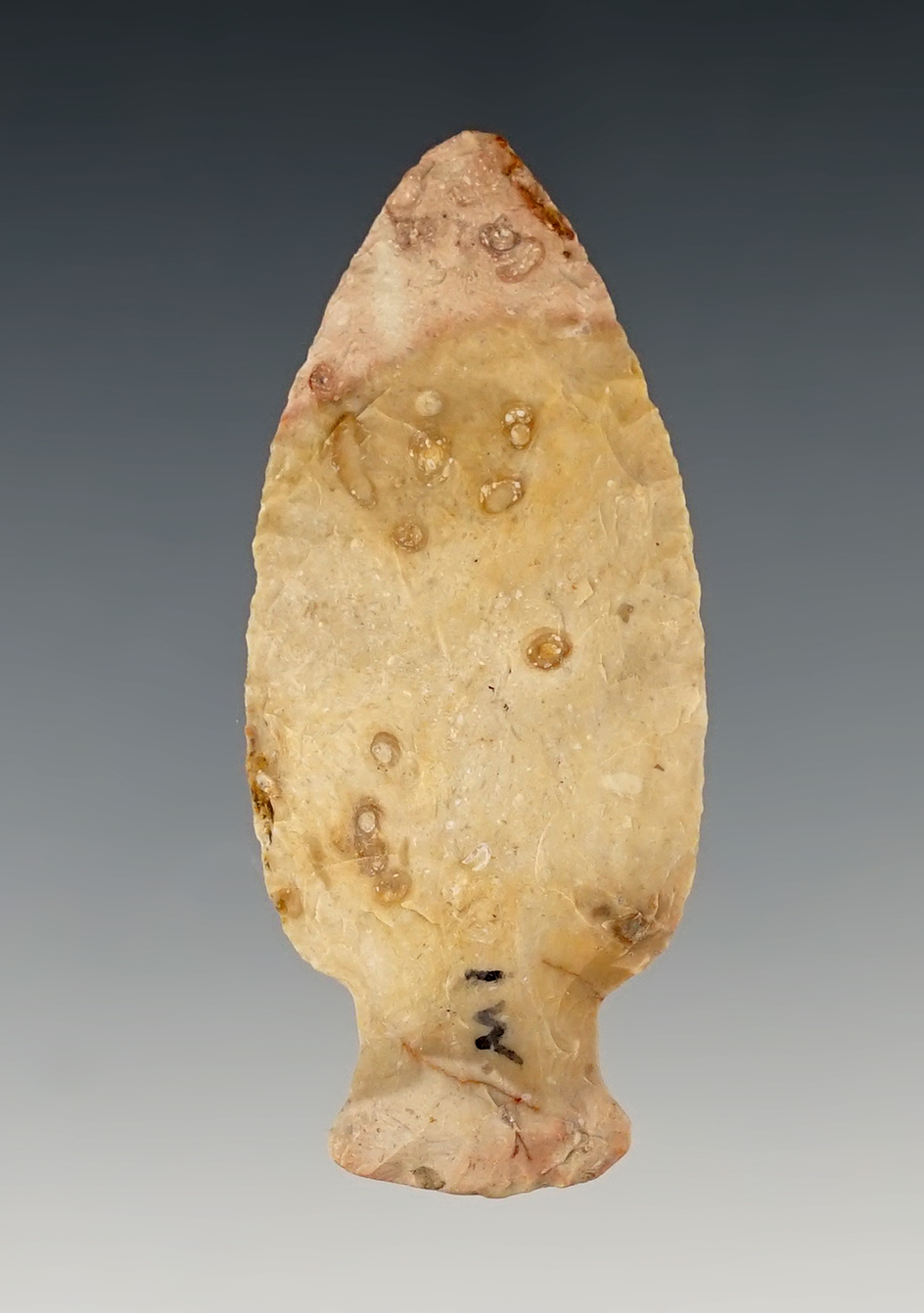 Colorful and well made 2 7/16" Table Rock found in the Midwestern U.S.