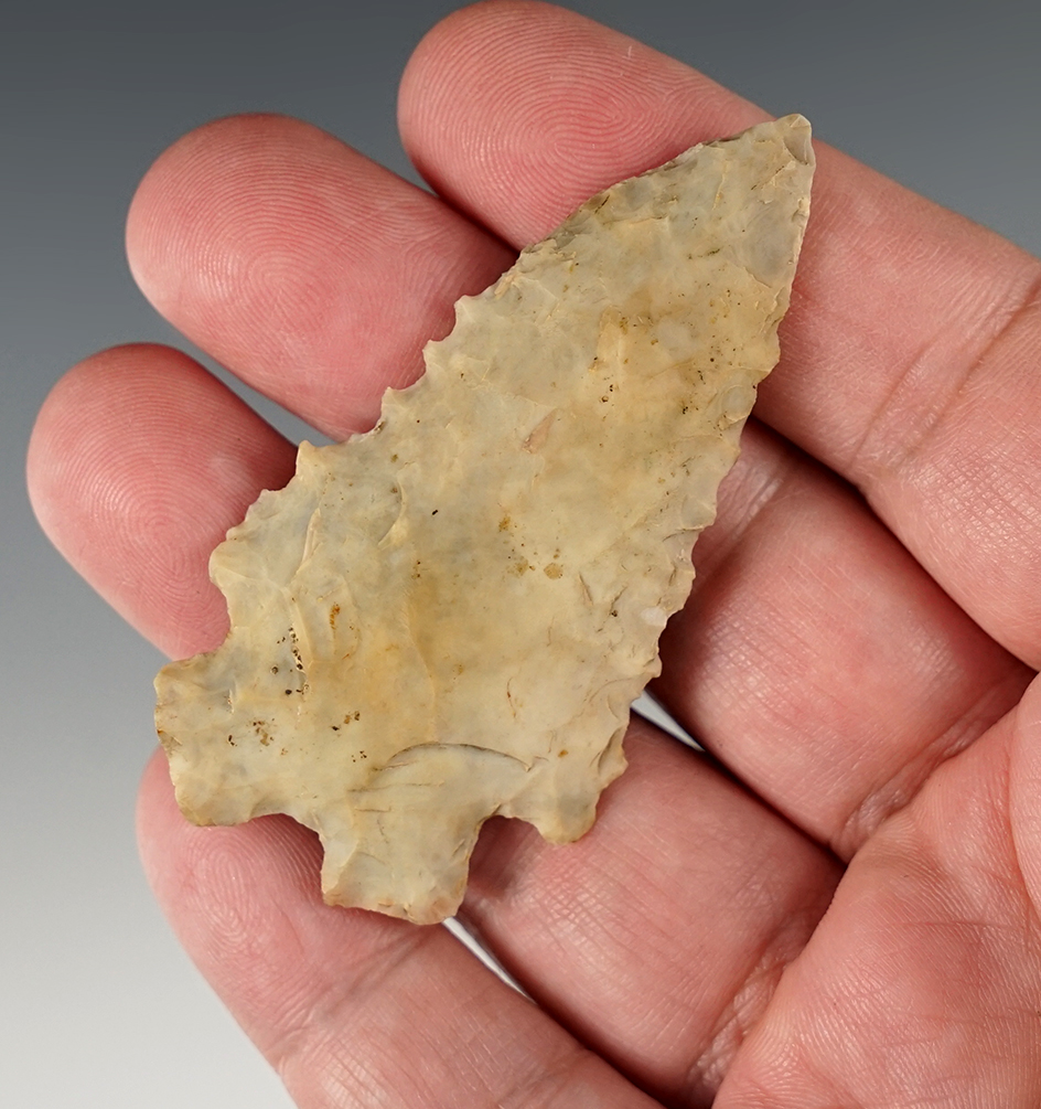 Uniquely styled 2 5/8" Flint Ridge Flint Bifurcate found in Ohio.