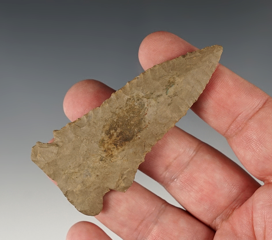 3 1/16" Greenbriar with nice edge flaking, found in Tennessee.