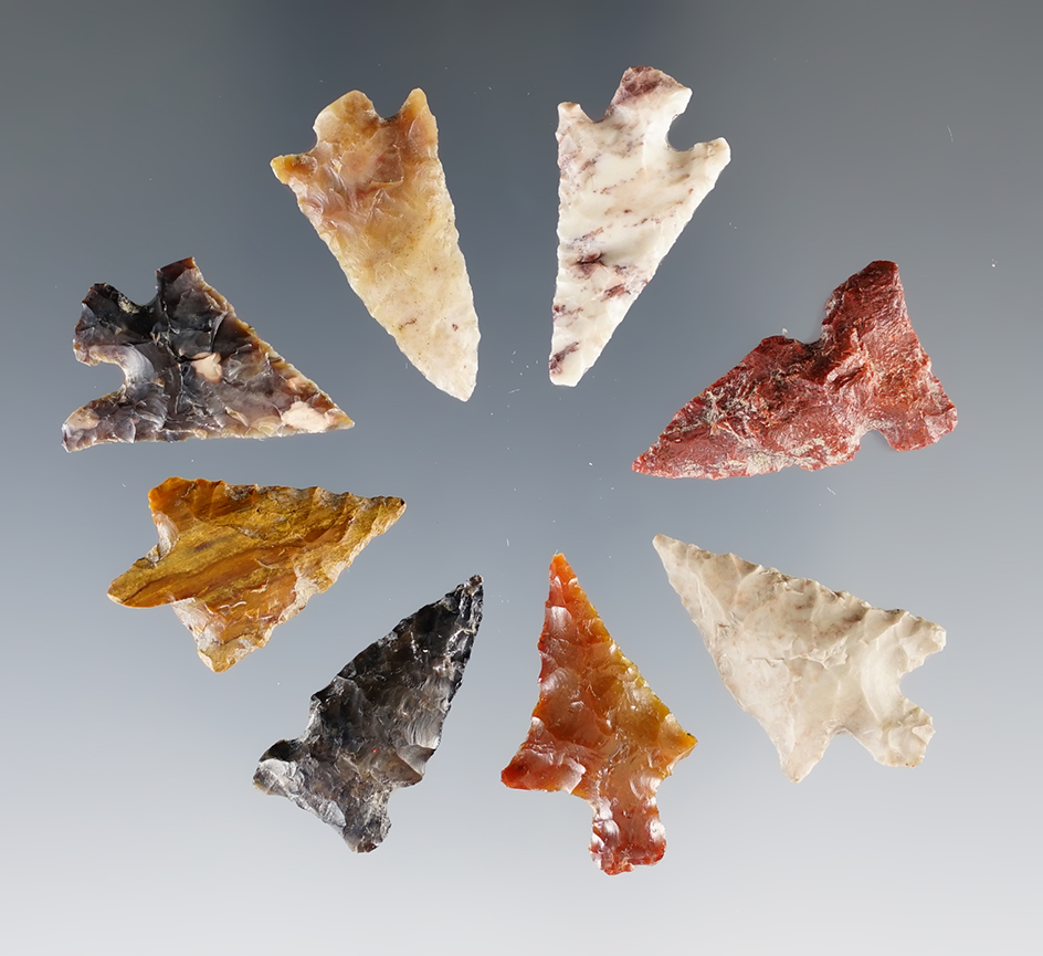 Set of 8 Assorted Columbia River Arrowheads, largest is 15/16".
