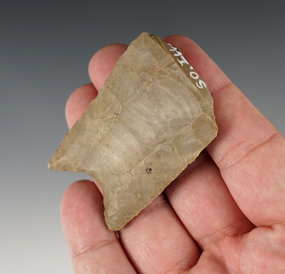 Large! 2 5/16" by 1 5/8" Wide Paleo Clovis with an excellent flute. Found in Southern Illinois.