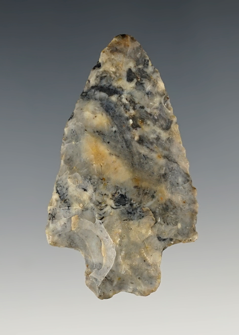 2 3/16" Heavy Duty made from Coshocton Flint and found in Ohio. Minor modern retouch to the tip.