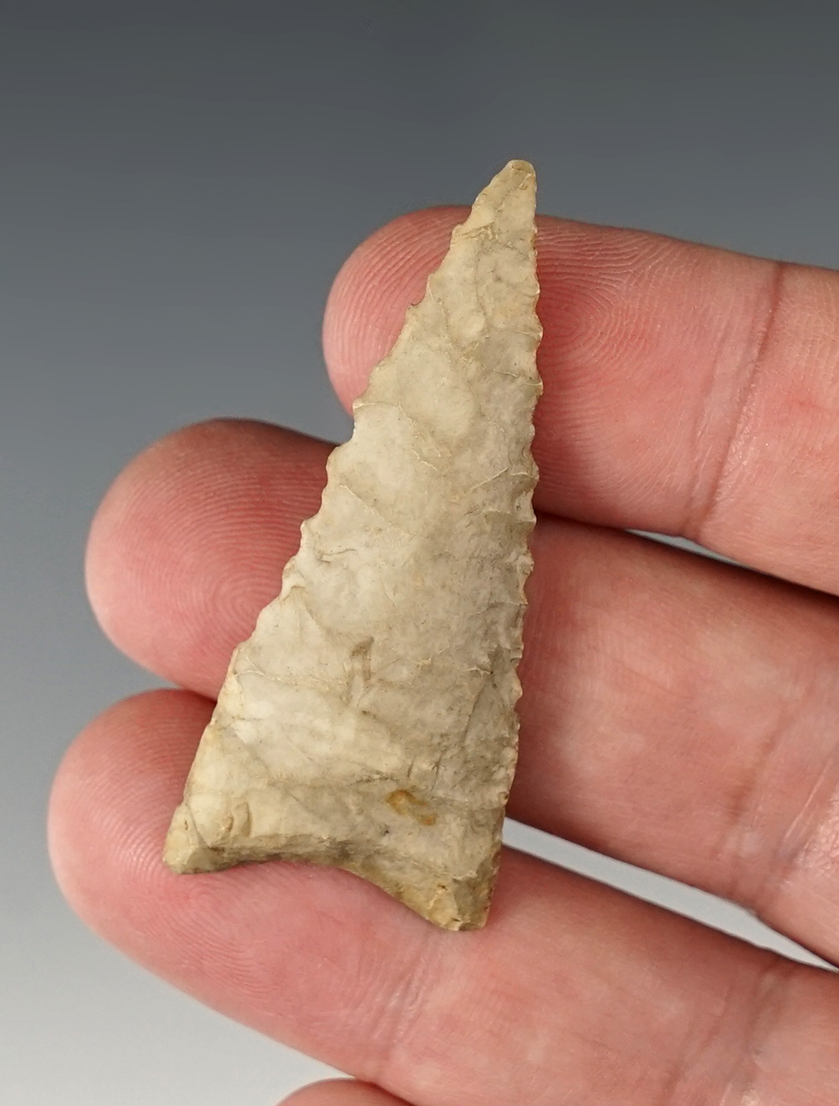 2" Heavily patinated Dalton found in Illinois.