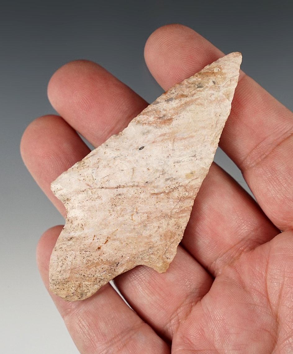 3 5/16" Adena found in Pike Co., Illinois.