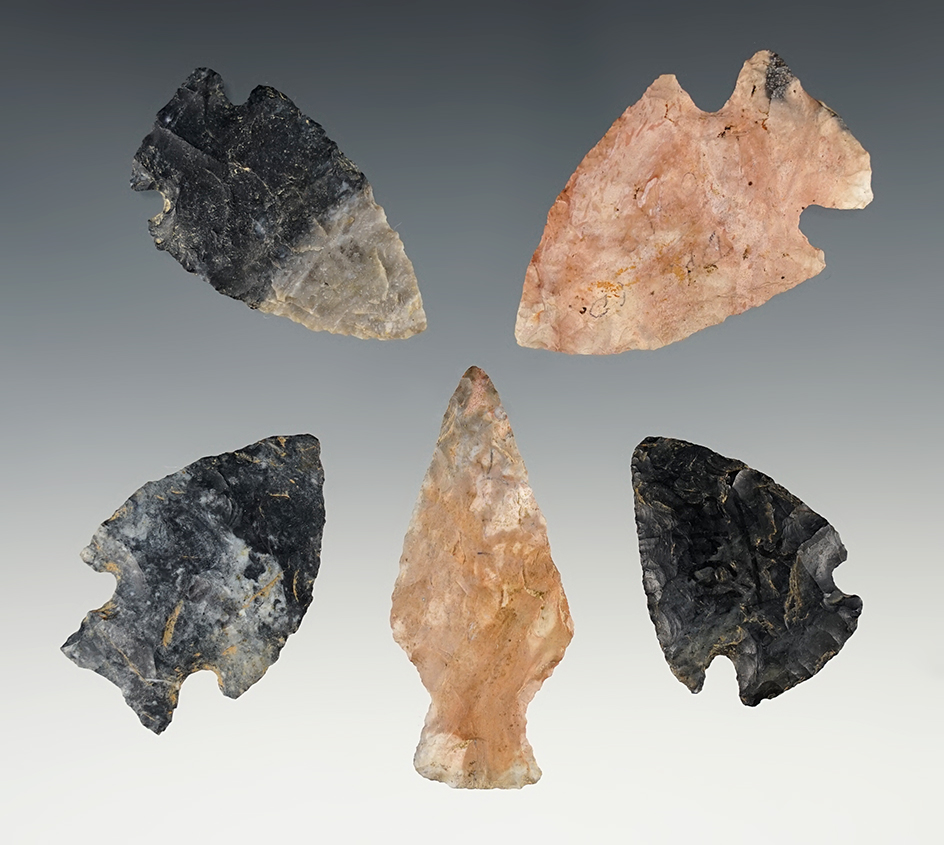 Set of 5 assorted Archaic types and materials found in Ohio. Largest is 2".