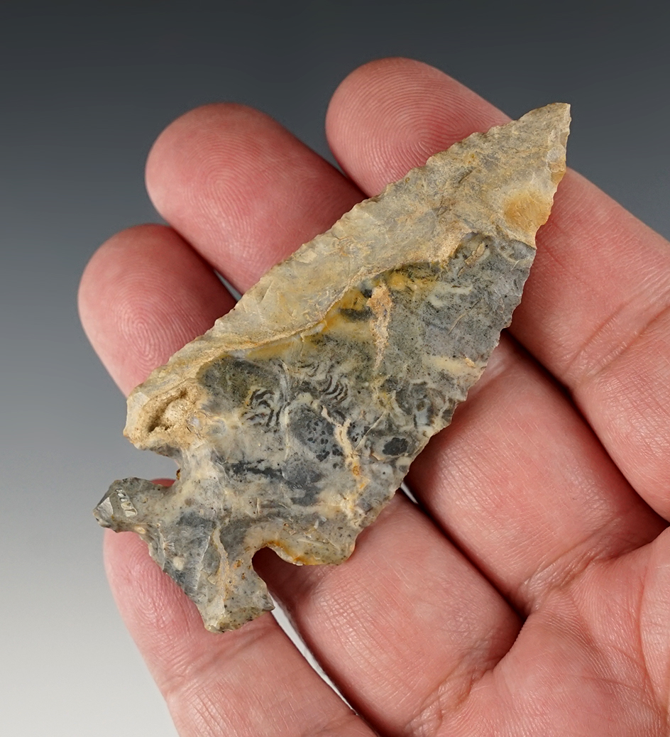 3" Multi-colored Coshocton Thebes. Found in Ashland Co., Ohio. Ex. Stan Copeland Collection.