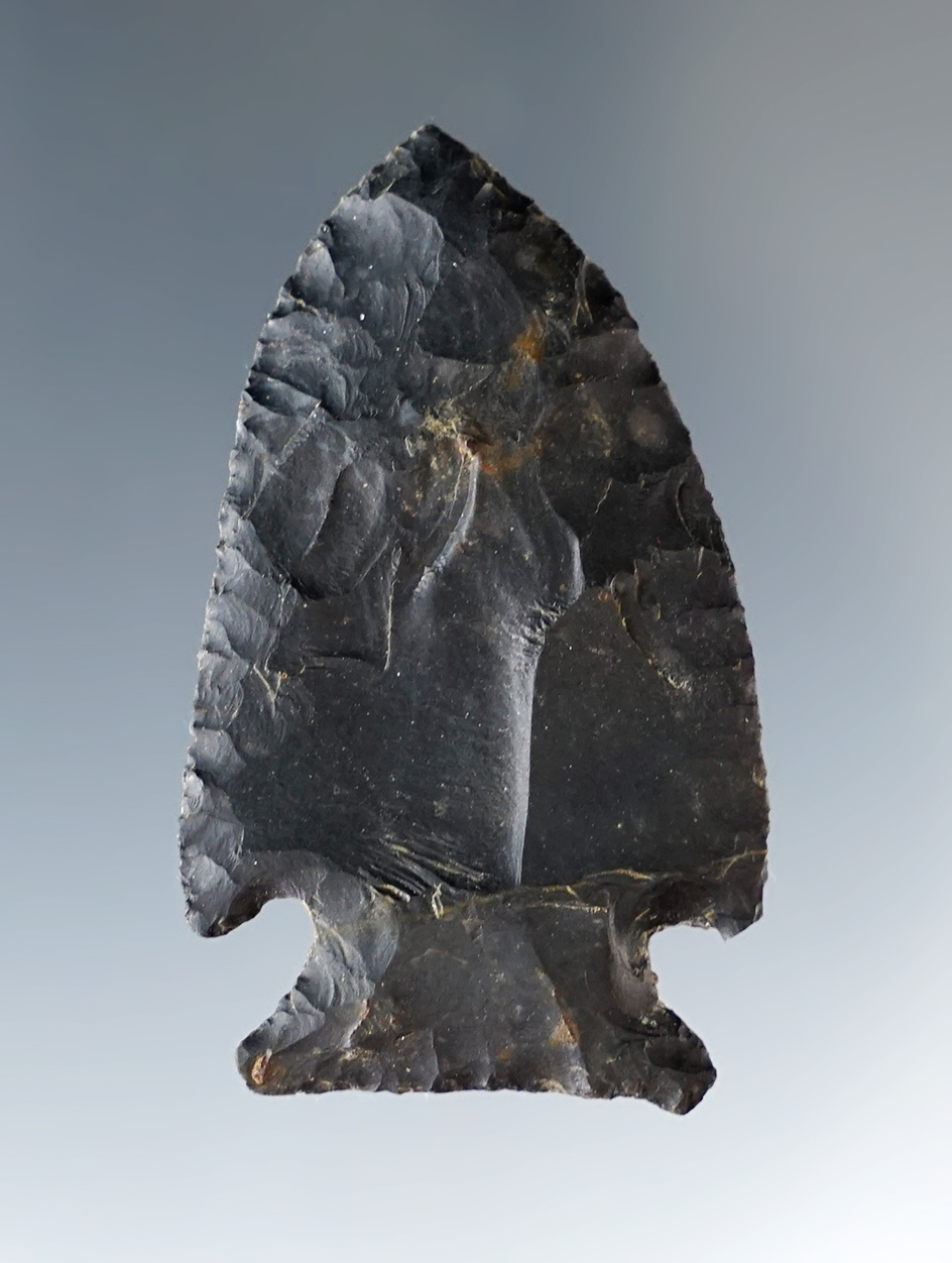 1 5/8" Intrusive Mound made from Coshocton Flint, found in Ohio. Ex. Gary Mumaw,  Scott Swanger.