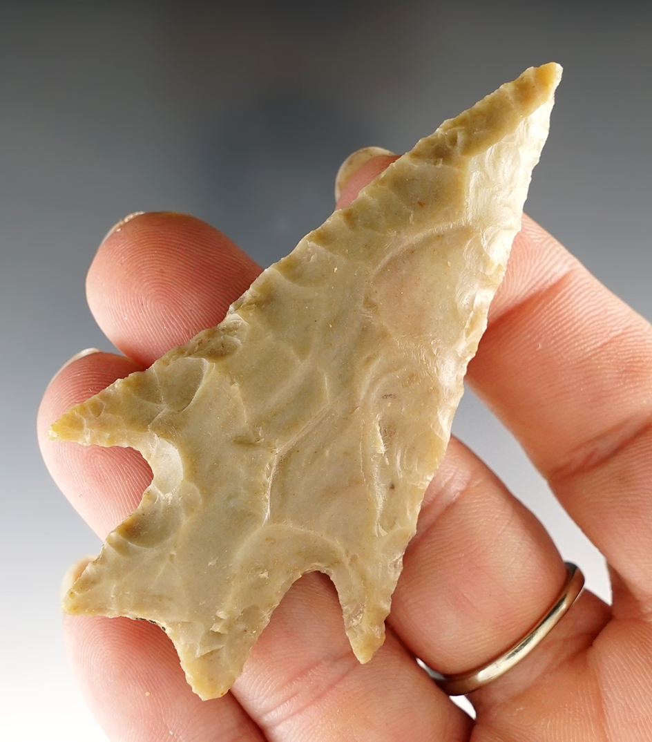 2 13/16" Pedernales made from tan Chert, found in Bandera Co., Texas. Comes with a Rogers COA.