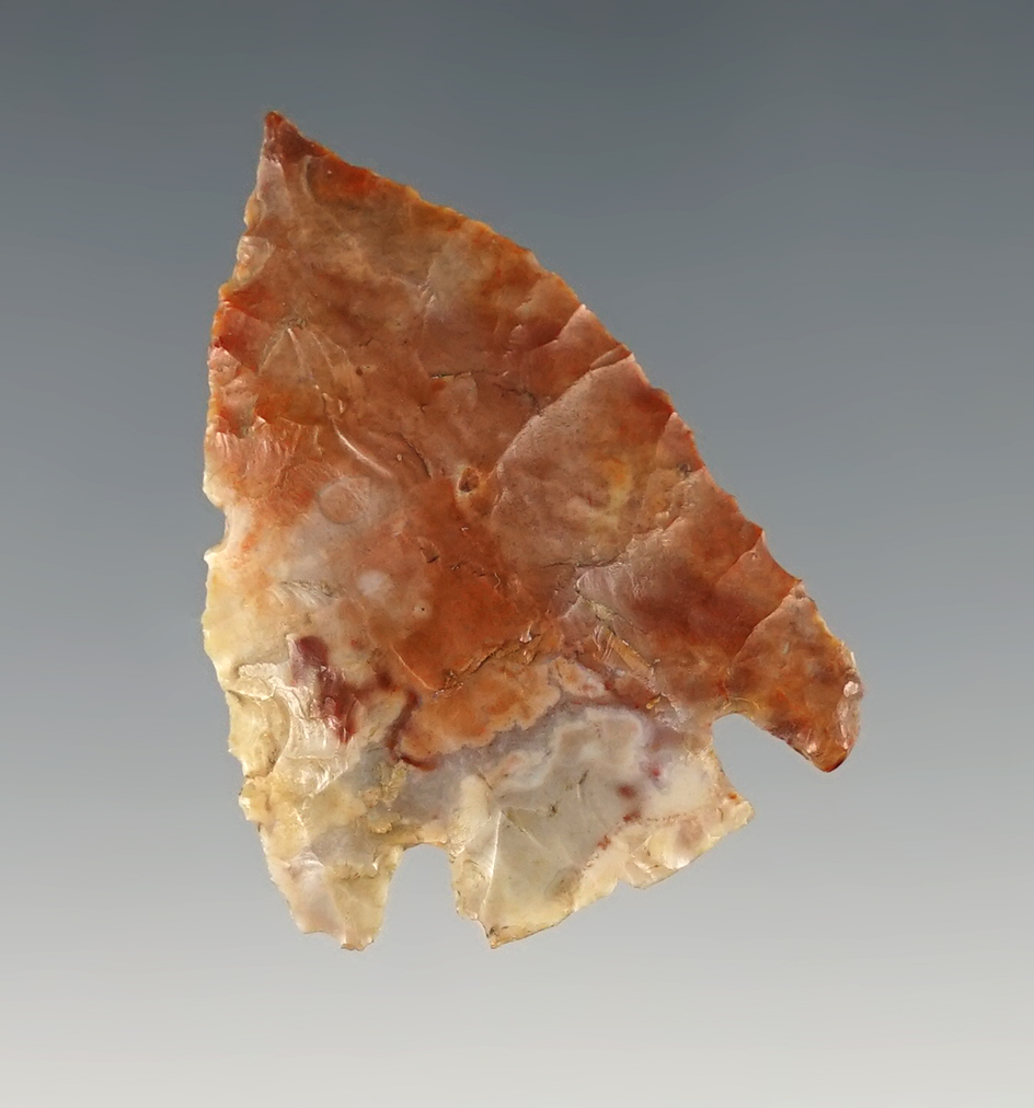 1 5/8" Multi-colored rare Flint Ridge Basal Notch Point, Lucas Co., Ohio. Ex. Jim Miller, Ex. Mike K