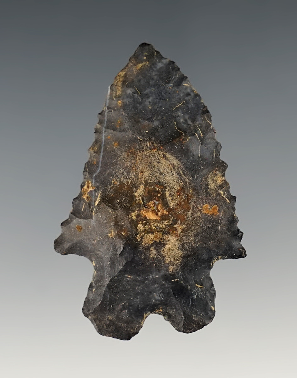 2 1/8" Coshocton Bifurcate found in Ohio. Ex. Joel Hennessee Collection.