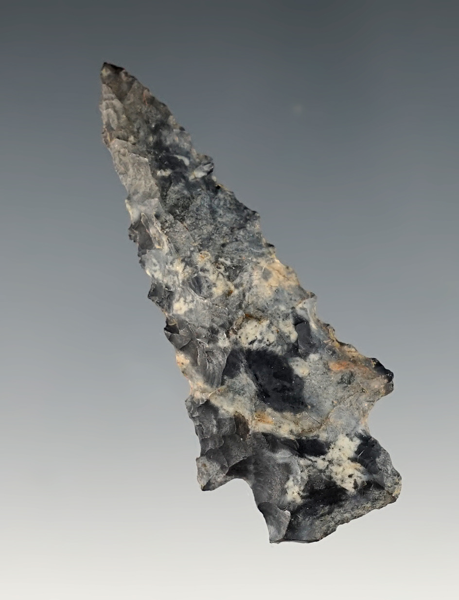 2 1/4" Serrated Heavy Duty Point made from multi-colored Coshocton. Found in Crawford Co., Ohio.